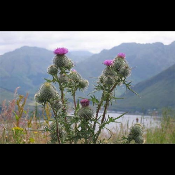 Meet your Posher, Rev. Nina - Picture 2 of 3